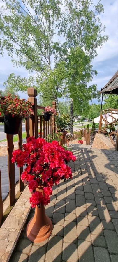 Lesne Klimaty Apartamento Polańczyk Exterior foto